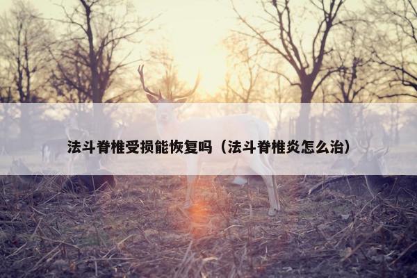 法斗脊椎受损能恢复吗（法斗脊椎炎怎么治）