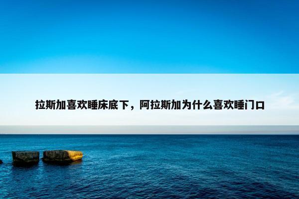 拉斯加喜欢睡床底下，阿拉斯加为什么喜欢睡门口