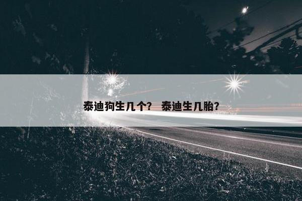 泰迪狗生几个？ 泰迪生几胎？