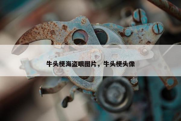 牛头梗海盗眼图片，牛头梗头像