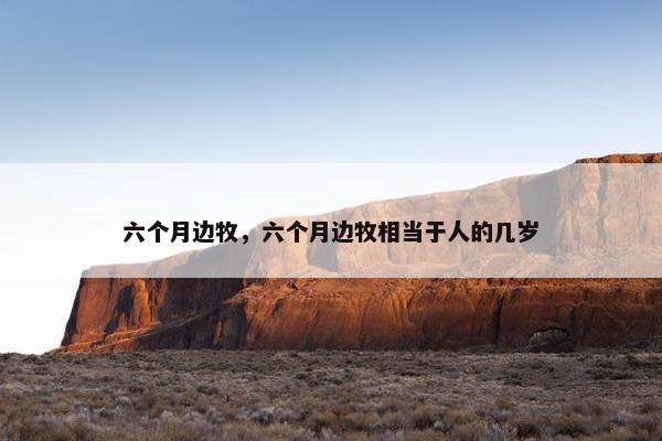 六个月边牧，六个月边牧相当于人的几岁