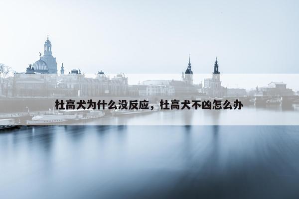 杜高犬为什么没反应，杜高犬不凶怎么办