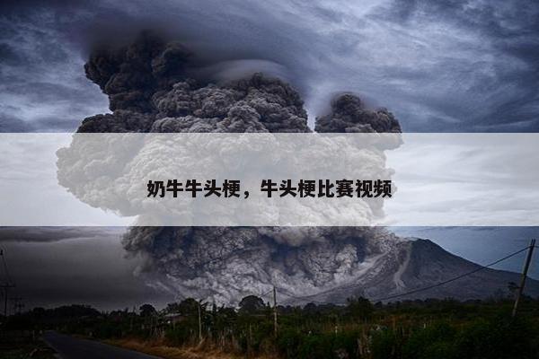 奶牛牛头梗，牛头梗比赛视频