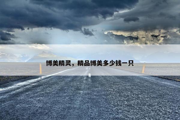 博美精灵，精品博美多少钱一只