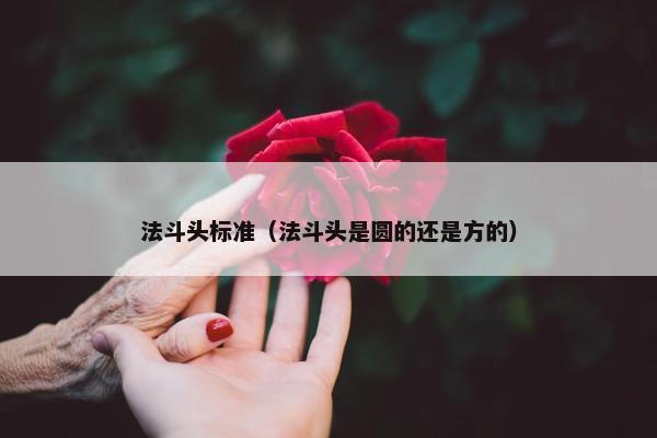 法斗头标准（法斗头是圆的还是方的）