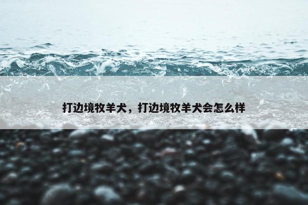 打边境牧羊犬，打边境牧羊犬会怎么样