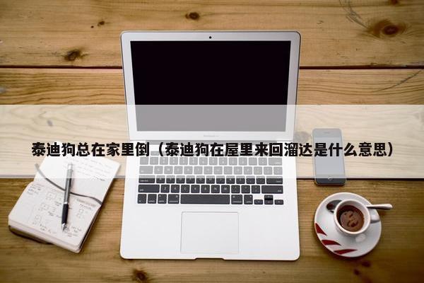 泰迪狗总在家里倒（泰迪狗在屋里来回溜达是什么意思）
