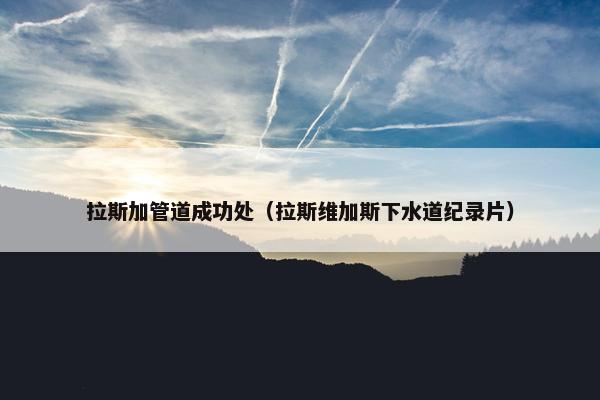 拉斯加管道成功处（拉斯维加斯下水道纪录片）