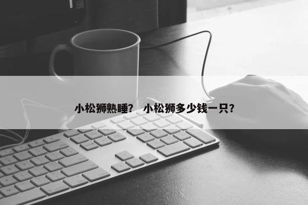 小松狮熟睡？ 小松狮多少钱一只？