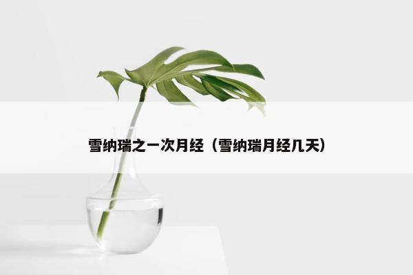 雪纳瑞之一次月经（雪纳瑞月经几天）