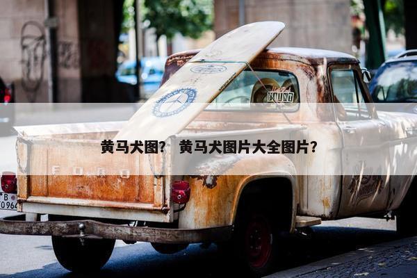 黄马犬图？ 黄马犬图片大全图片？