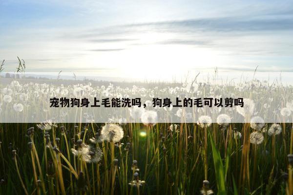 狗能 第32页