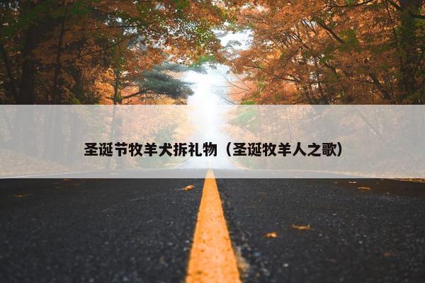 圣诞节牧羊犬拆礼物（圣诞牧羊人之歌）