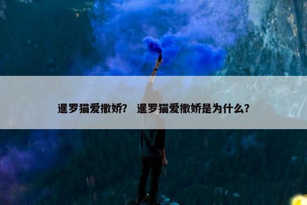 暹罗猫爱撒娇？ 暹罗猫爱撒娇是为什么？