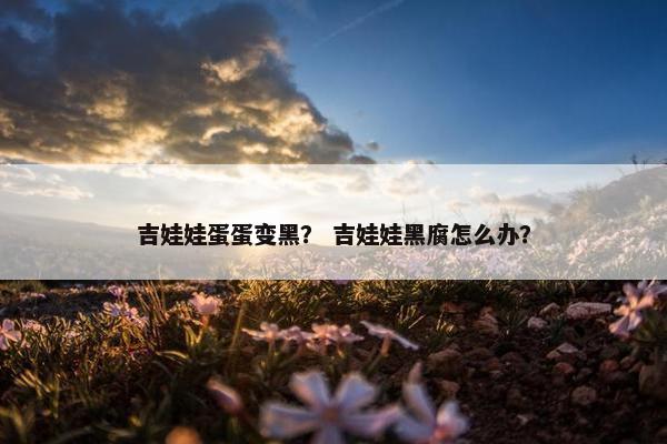 睾丸