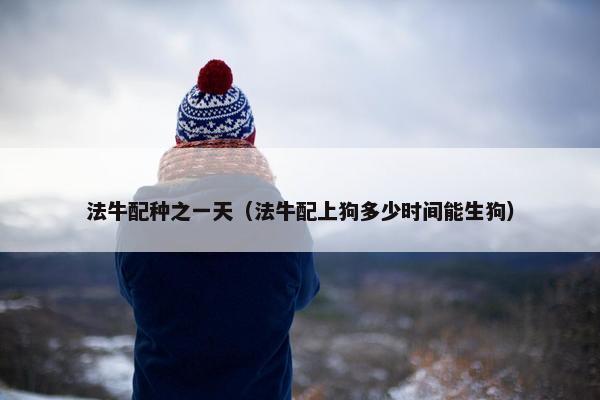 法牛配种之一天（法牛配上狗多少时间能生狗）