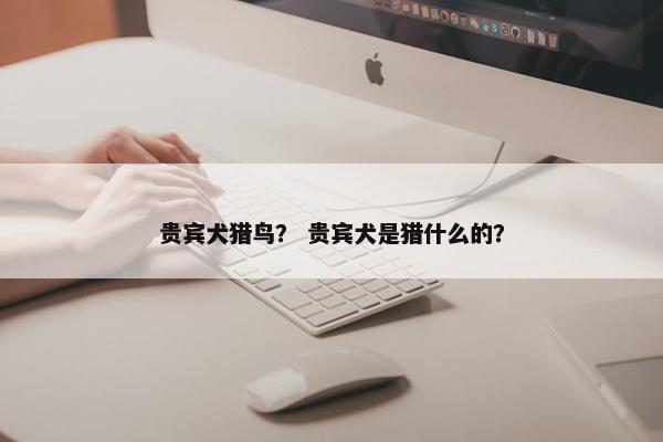 贵宾犬猎鸟？ 贵宾犬是猎什么的？