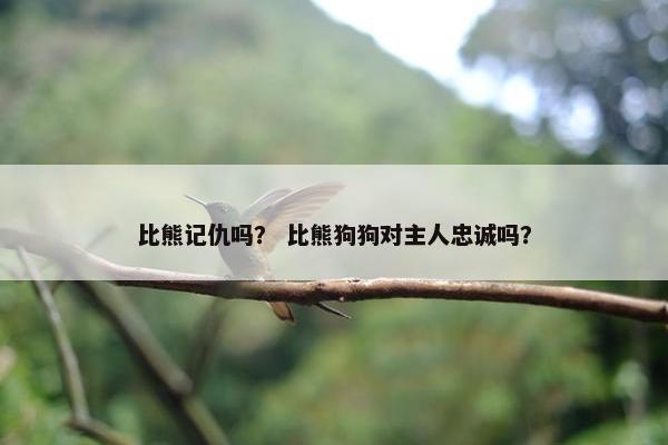 比熊记仇吗？ 比熊狗狗对主人忠诚吗？