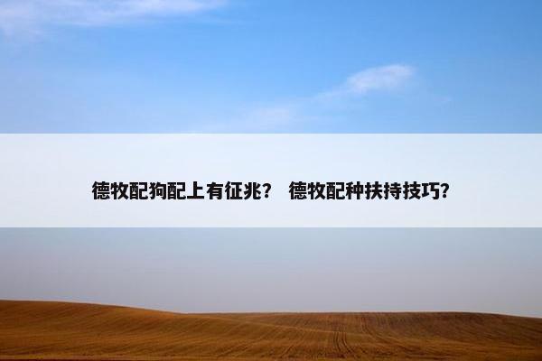 德牧配狗配上有征兆？ 德牧配种扶持技巧？