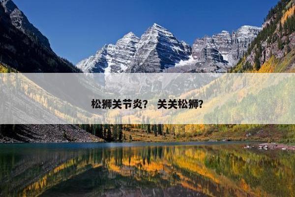 松狮关节炎？ 关关松狮？