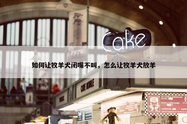 如何让牧羊犬闭嘴不叫，怎么让牧羊犬放羊