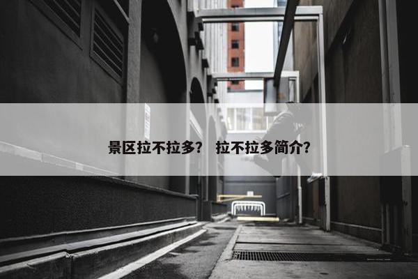 景区拉不拉多？ 拉不拉多简介？