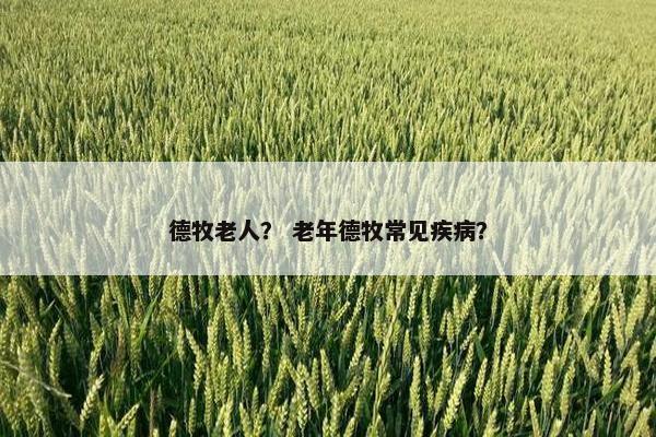 德牧老人？ 老年德牧常见疾病？