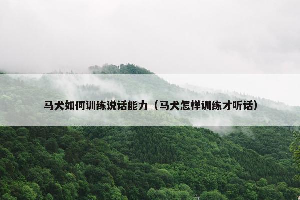 马犬如何训练说话能力（马犬怎样训练才听话）