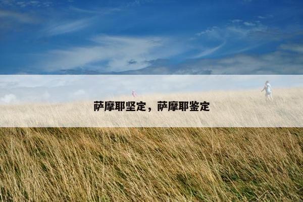 萨摩耶坚定，萨摩耶鉴定