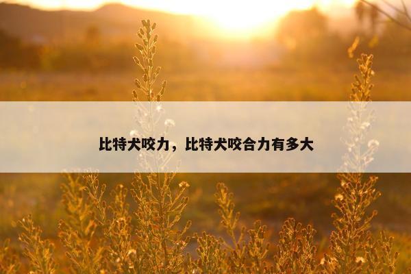 比特犬咬力，比特犬咬合力有多大