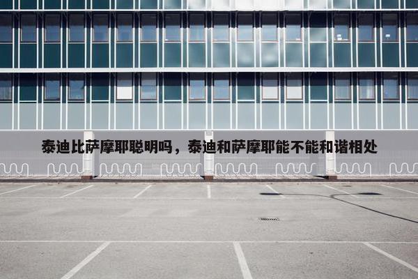 泰迪比萨摩耶聪明吗，泰迪和萨摩耶能不能和谐相处