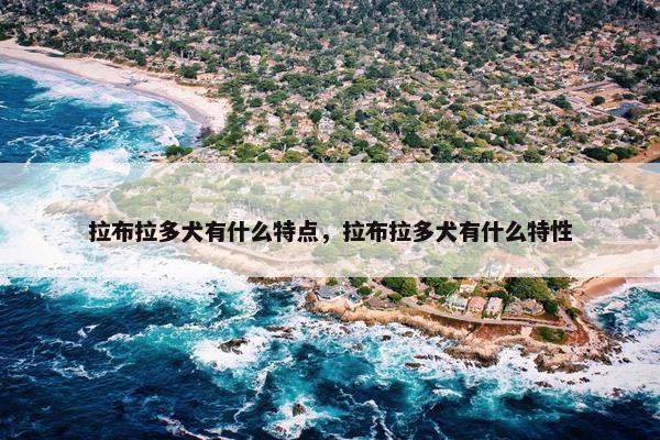 拉布拉多犬有什么特点，拉布拉多犬有什么特性