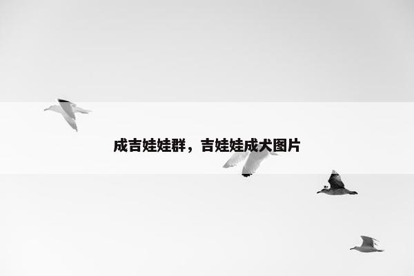 成吉娃娃群，吉娃娃成犬图片