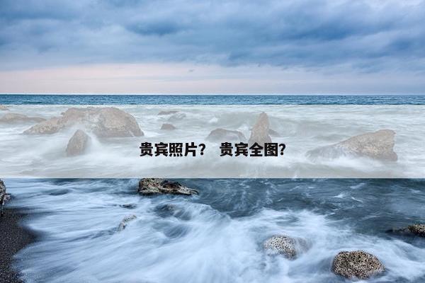 贵宾照片？ 贵宾全图？