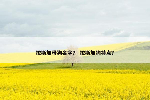 拉斯加母狗名字？ 拉斯加狗特点？