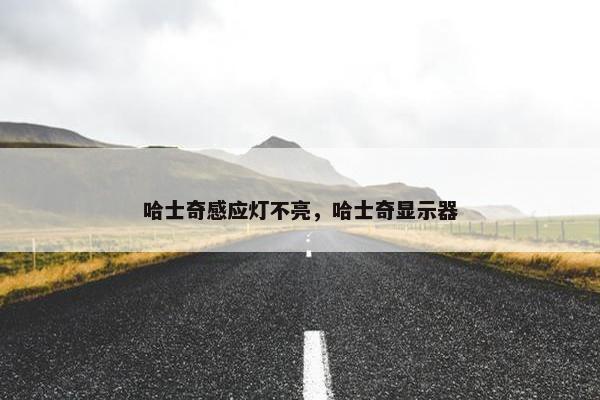 哈士奇感应灯不亮，哈士奇显示器