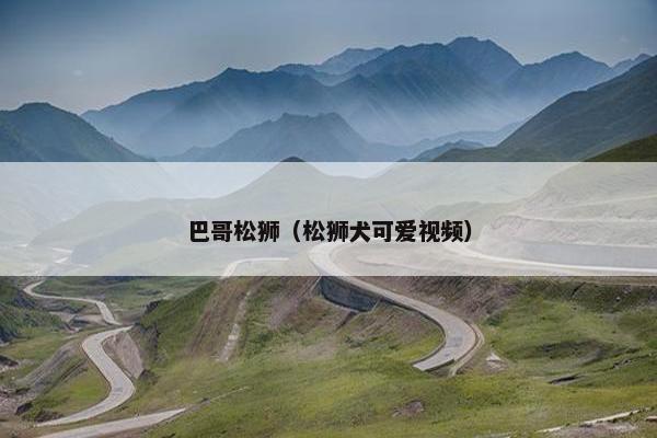 巴哥松狮（松狮犬可爱视频）