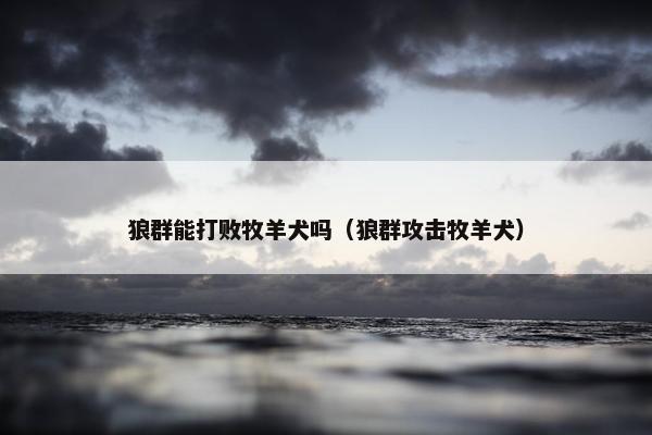 狼群能打败牧羊犬吗（狼群攻击牧羊犬）