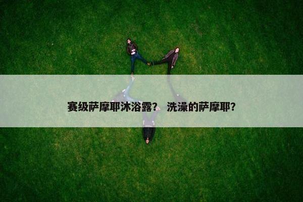 赛级萨摩耶沐浴露？ 洗澡的萨摩耶？