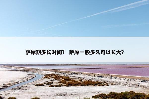 萨摩期多长时间？ 萨摩一般多久可以长大？