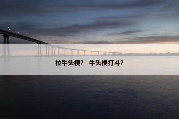 拉牛头梗？ 牛头梗打斗？