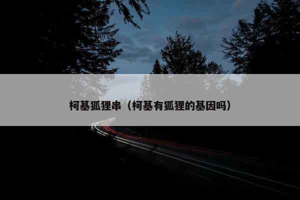 柯基狐狸串（柯基有狐狸的基因吗）