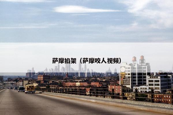 萨摩掐架（萨摩咬人视频）