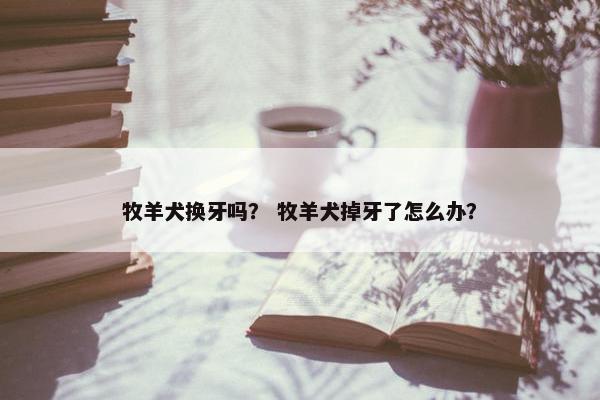牧羊犬 第24页