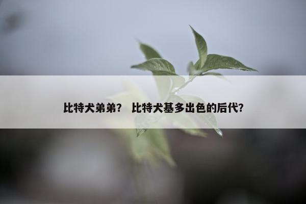 比特犬弟弟？ 比特犬基多出色的后代？