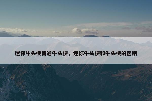 迷你牛头梗普通牛头梗，迷你牛头梗和牛头梗的区别