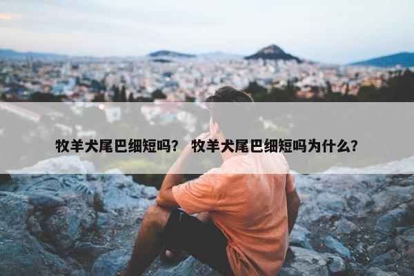 牧羊犬尾巴细短吗？ 牧羊犬尾巴细短吗为什么？