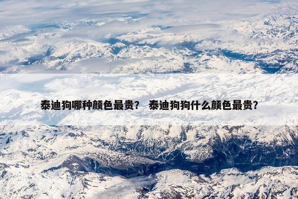 泰迪狗哪种颜色最贵？ 泰迪狗狗什么颜色最贵？