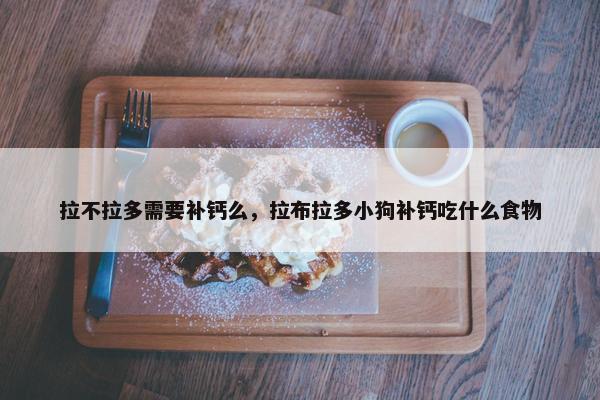 拉不拉多需要补钙么，拉布拉多小狗补钙吃什么食物