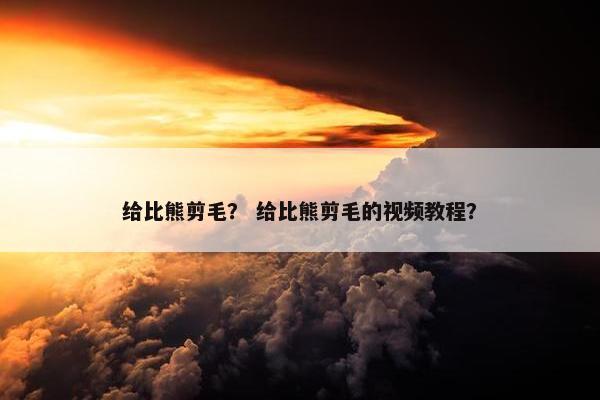 给比熊剪毛？ 给比熊剪毛的视频教程？